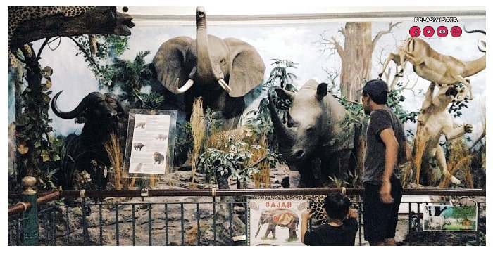 Rahmat International Wildlife Museum & Gallery