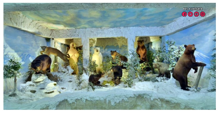 Rahmat International Wildlife Museum and Gallery