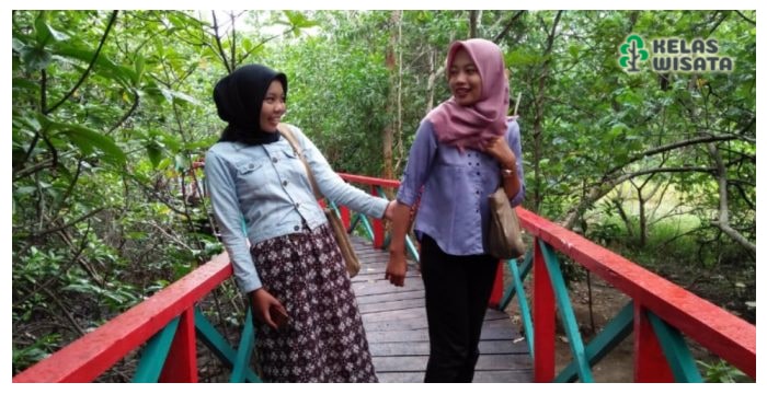 Wisata Mangrove Bengkulu
