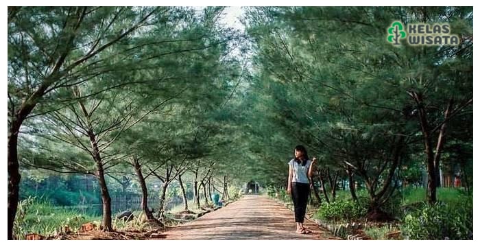 Taman Hutan Raya Pakal Surabaya