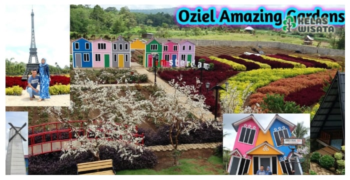 Oziel Amazing Garden