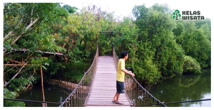 Taman Mangrove Anggrek